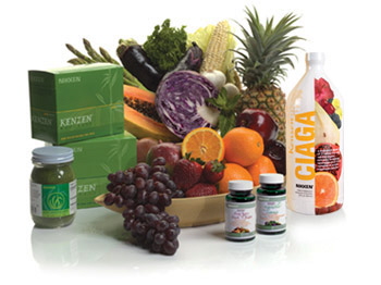 NikkenKenzenFoods